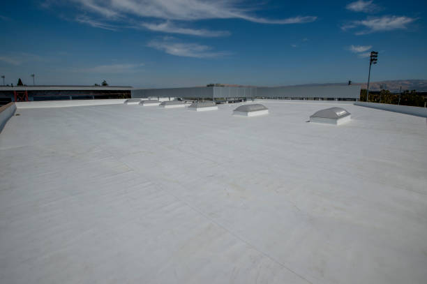 Best Roof Maintenance and Cleaning  in Lavon, TX